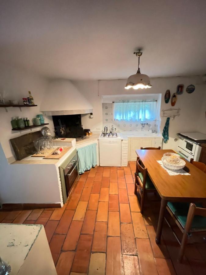 Lo Chalet immerso nella Natura Villa Montefalco Esterno foto